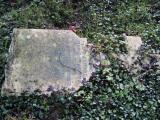 image of grave number 446676
